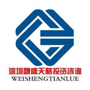 深圳魏盛天略企业投资咨询 专业赋能，驱动企业价值增长